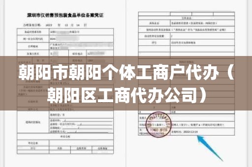 朝阳市朝阳个体工商户代办（朝阳区工商代办公司）