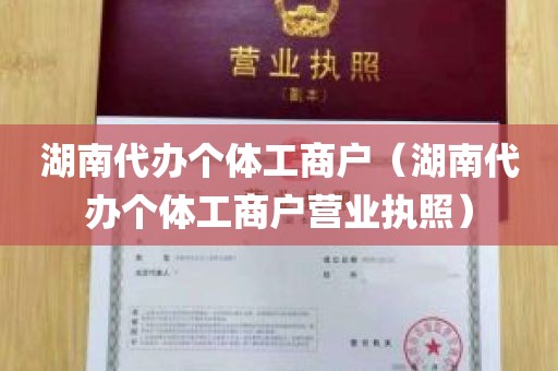 湖南代办个体工商户（湖南代办个体工商户营业执照）