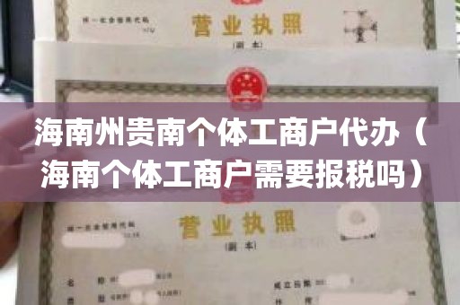 海南州贵南个体工商户代办（海南个体工商户需要报税吗）