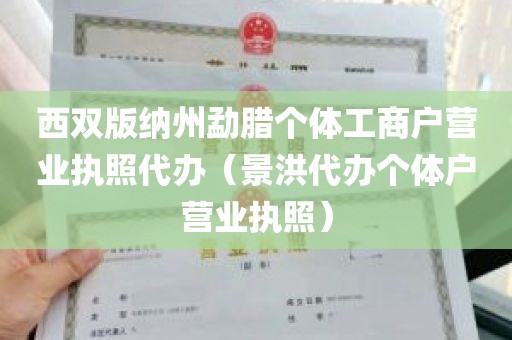 西双版纳州勐腊个体工商户营业执照代办（景洪代办个体户营业执照）