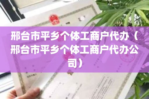 邢台市平乡个体工商户代办（邢台市平乡个体工商户代办公司）