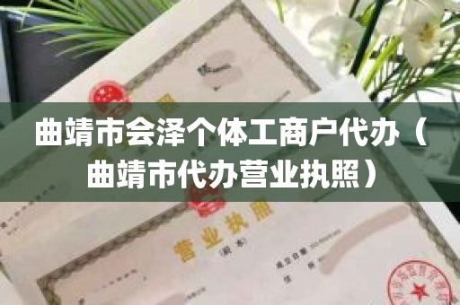 曲靖市会泽个体工商户代办（曲靖市代办营业执照）
