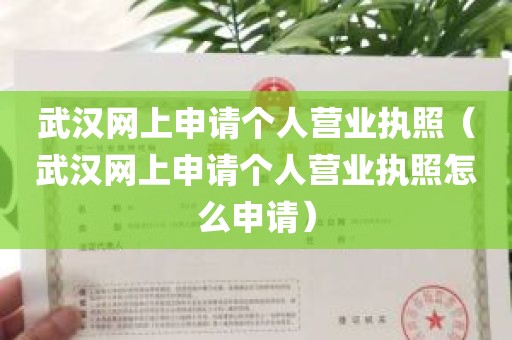 武汉网上申请个人营业执照（武汉网上申请个人营业执照怎么申请）