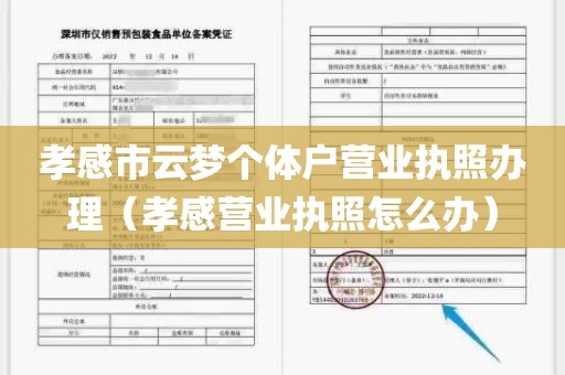孝感市云梦个体户营业执照办理（孝感营业执照怎么办）