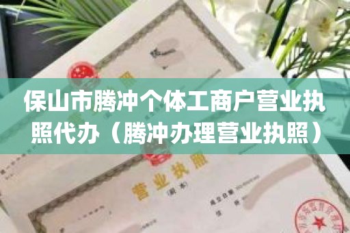 保山市腾冲个体工商户营业执照代办（腾冲办理营业执照）