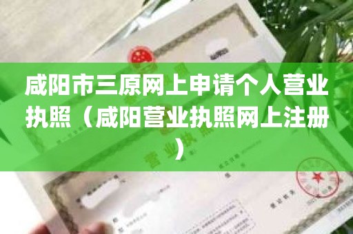咸阳市三原网上申请个人营业执照（咸阳营业执照网上注册）