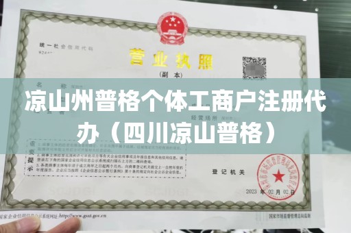 凉山州普格个体工商户注册代办（四川凉山普格）