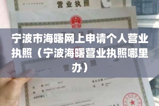 宁波市海曙网上申请个人营业执照（宁波海曙营业执照哪里办）