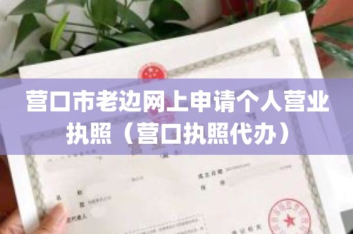 营口市老边网上申请个人营业执照（营口执照代办）