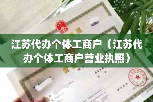 江苏代办个体工商户（江苏代办个体工商户营业执照）