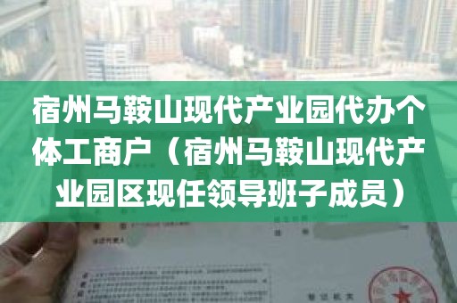 宿州马鞍山现代产业园代办个体工商户（宿州马鞍山现代产业园区现任领导班子成员）