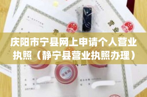 庆阳市宁县网上申请个人营业执照（静宁县营业执照办理）