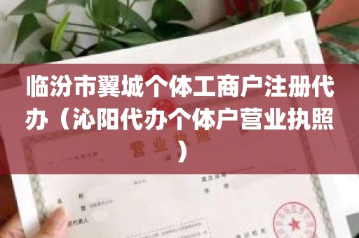 临汾市翼城个体工商户注册代办（沁阳代办个体户营业执照）