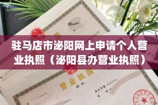 驻马店市泌阳网上申请个人营业执照（泌阳县办营业执照）