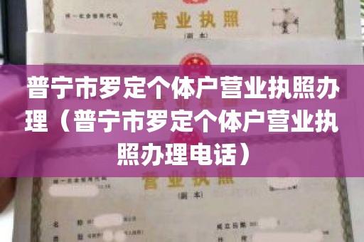 普宁市罗定个体户营业执照办理（普宁市罗定个体户营业执照办理电话）