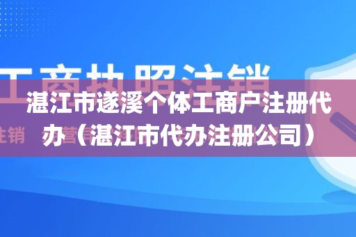 湛江市遂溪个体工商户注册代办（湛江市代办注册公司）