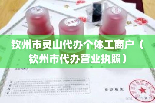 钦州市灵山代办个体工商户（钦州市代办营业执照）