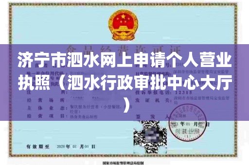 济宁市泗水网上申请个人营业执照（泗水行政审批中心大厅）