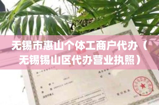 无锡市惠山个体工商户代办（无锡锡山区代办营业执照）