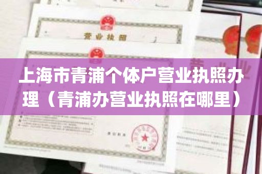 上海市青浦个体户营业执照办理（青浦办营业执照在哪里）