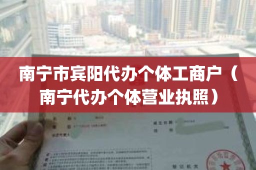 南宁市宾阳代办个体工商户（南宁代办个体营业执照）