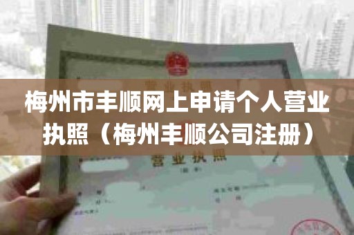 梅州市丰顺网上申请个人营业执照（梅州丰顺公司注册）