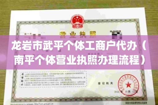 龙岩市武平个体工商户代办（南平个体营业执照办理流程）