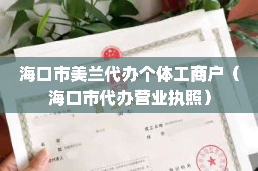 海口市美兰代办个体工商户（海口市代办营业执照）