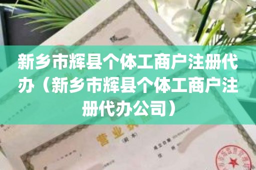 新乡市辉县个体工商户注册代办（新乡市辉县个体工商户注册代办公司）