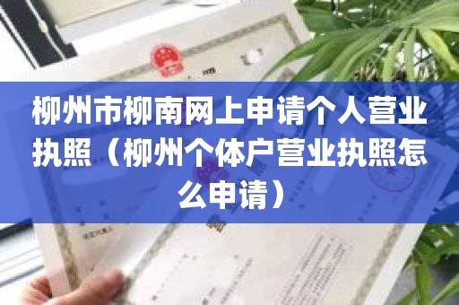 柳州市柳南网上申请个人营业执照（柳州个体户营业执照怎么申请）
