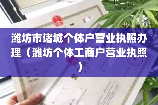 潍坊市诸城个体户营业执照办理（潍坊个体工商户营业执照）