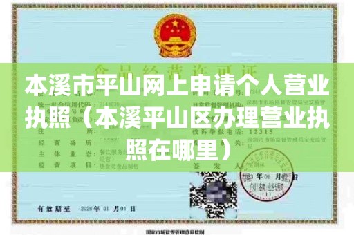 本溪市平山网上申请个人营业执照（本溪平山区办理营业执照在哪里）