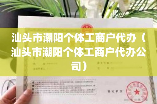 汕头市潮阳个体工商户代办（汕头市潮阳个体工商户代办公司）