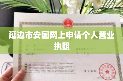 延边市安图网上申请个人营业执照