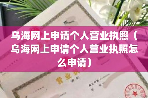 乌海网上申请个人营业执照（乌海网上申请个人营业执照怎么申请）