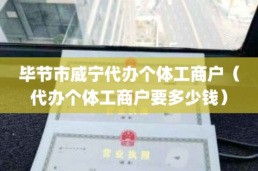 毕节市威宁代办个体工商户（代办个体工商户要多少钱）