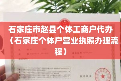 石家庄市赵县个体工商户代办（石家庄个体户营业执照办理流程）