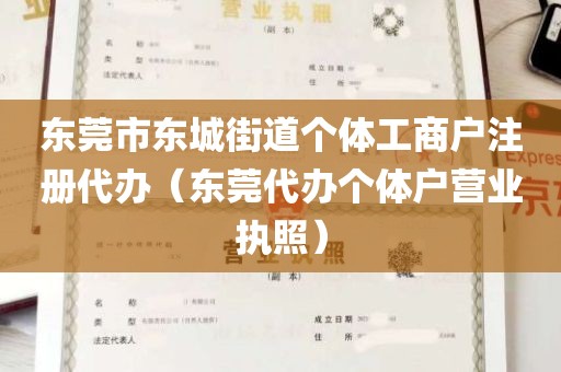 东莞市东城街道个体工商户注册代办（东莞代办个体户营业执照）