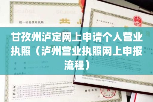甘孜州泸定网上申请个人营业执照（泸州营业执照网上申报流程）