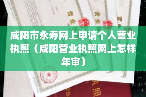 咸阳市永寿网上申请个人营业执照（咸阳营业执照网上怎样年审）