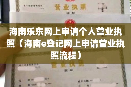 海南乐东网上申请个人营业执照（海南e登记网上申请营业执照流程）
