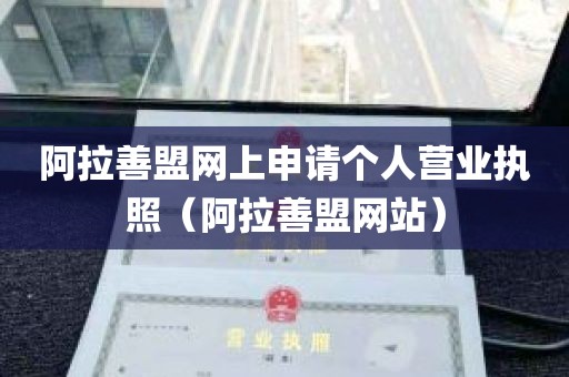 阿拉善盟网上申请个人营业执照（阿拉善盟网站）