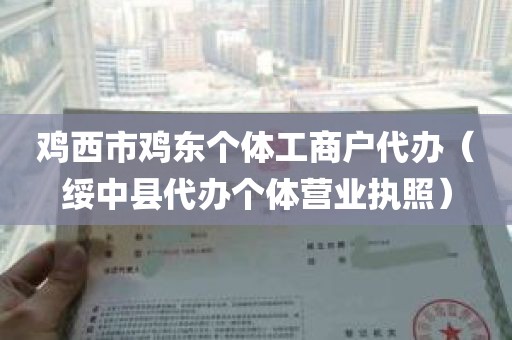 鸡西市鸡东个体工商户代办（绥中县代办个体营业执照）