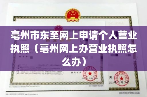 亳州市东至网上申请个人营业执照（亳州网上办营业执照怎么办）