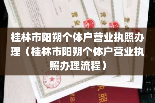 桂林市阳朔个体户营业执照办理（桂林市阳朔个体户营业执照办理流程）