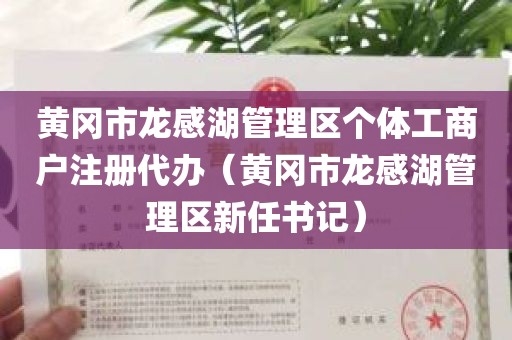 黄冈市龙感湖管理区个体工商户注册代办（黄冈市龙感湖管理区新任书记）