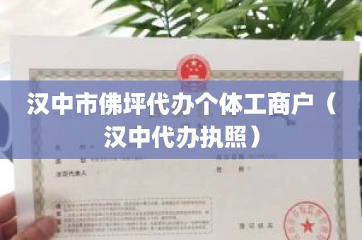 汉中市佛坪代办个体工商户（汉中代办执照）