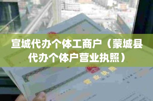 宣城代办个体工商户（蒙城县代办个体户营业执照）