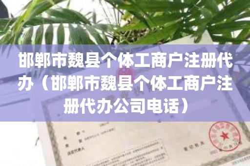 邯郸市魏县个体工商户注册代办（邯郸市魏县个体工商户注册代办公司电话）