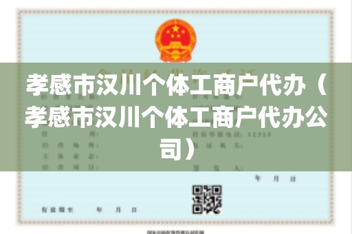 孝感市汉川个体工商户代办（孝感市汉川个体工商户代办公司）